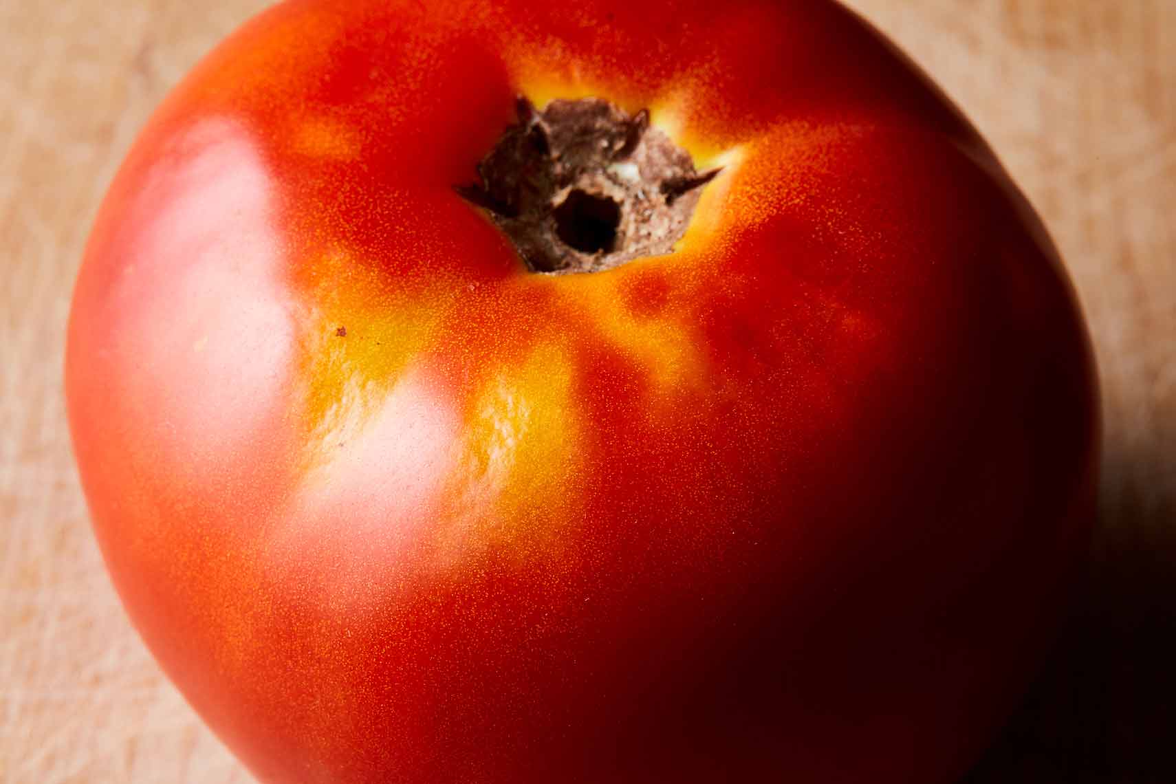 2016-0811_tomato-bounty_james-ransom-404